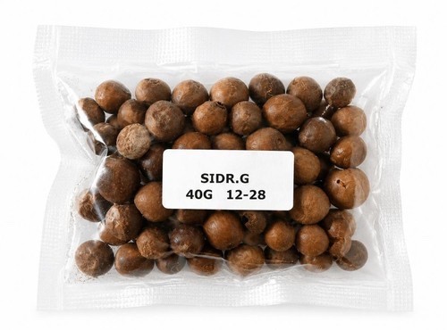 Sidr samen jujube bio - jujube,