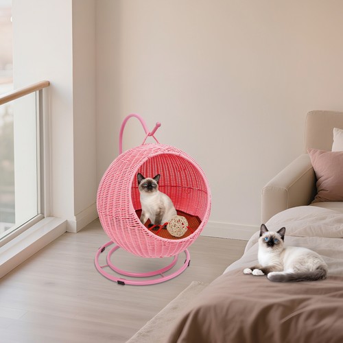 Katzen schaukel geschlossener - katzen,