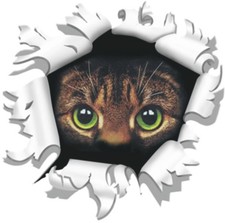 Hermann Schütz Autoaufkleber