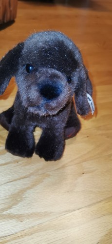 Steiff hund dunkelbraun cm - steiff, 19
