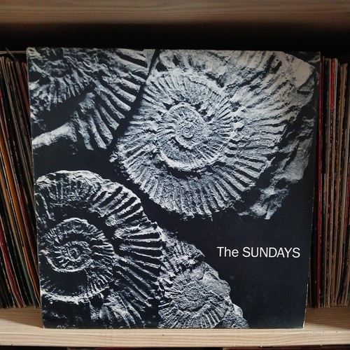 The sundays reading - sundays,
