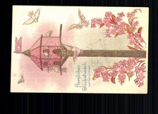 Weiße Tauben und Taubenhaus