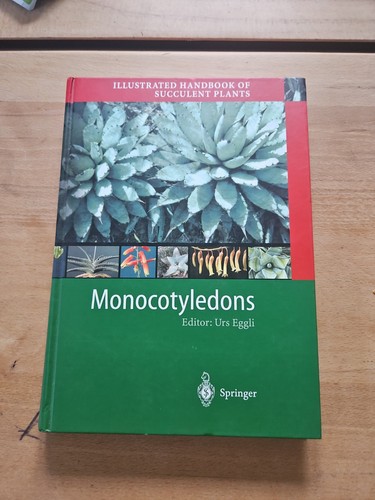 Monocotyledons urs eggli - monocotyledons-urs,