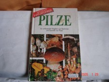 Pilze kennen sammeln - pilze, der