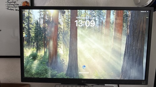 24bk55yp zoll full - lg, full-hd
