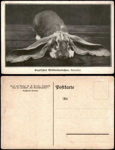 Ansichtskarte englisches - ansichtskarte,