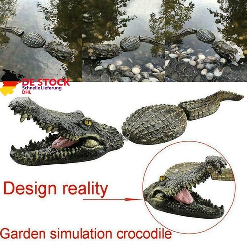 Krokodil kopf garten teich - krokodil,