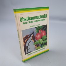 Obstbaumschnitt Kern Stein Und