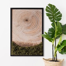 Bild mit Natürlichem Moos-