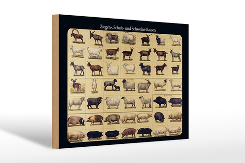 Holzschild tiere 20x30 - tiere, cm
