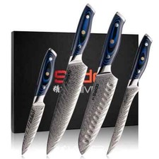 4-Piece Kanpeki VG10 Damascus