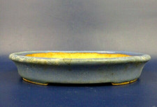 Japanischer TOKONAME Bonsai