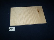 Ahorn geriegel Riegelahorn