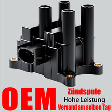 OEM Zündspule Zündmodul für
