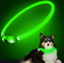 LED Hundehalsband grün