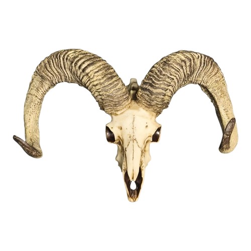 Widder wanddeko 45cm - widder,