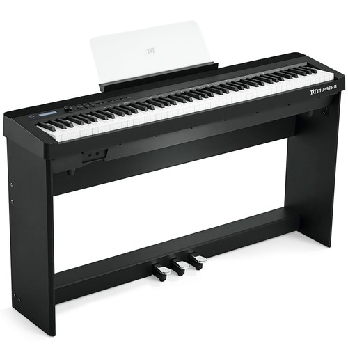 Mustar klassisch professionell - mustar,
