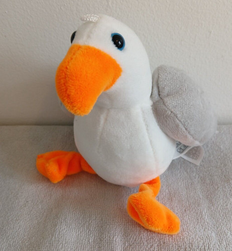 Steven die möwe vogel - steven,
