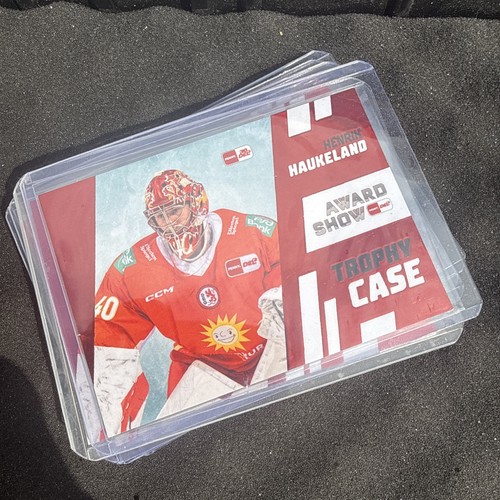 Del eishockey award - del,