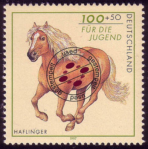 1923 jugend pferderassen - 1923,
