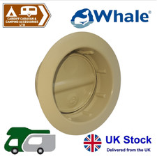 Whale truma - whale,