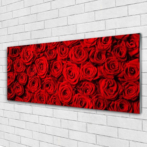 Acrylglasbilder wandbilder aus - acrylglasbilder,