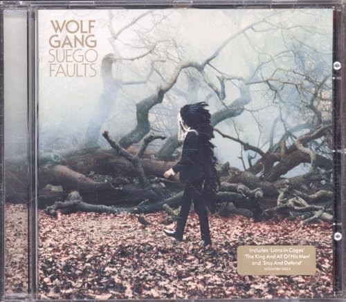 Wolf gang suego - faults,
