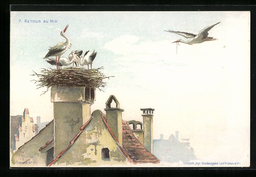 Ankunft des futters - des,