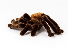 KÖSEN Vogelspinne Therese 22