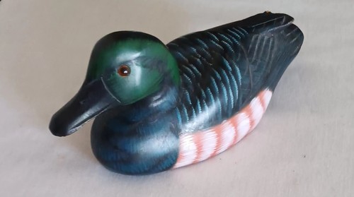 Jagd ente lockvogel - ente, garten