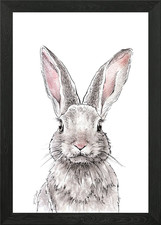 Kaninchen Häschen süß