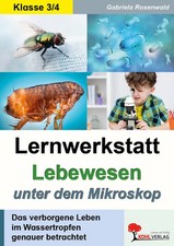 Lernwerkstatt Lebewesen unter