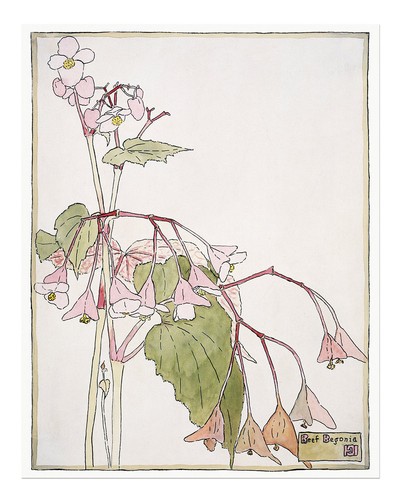 Elegante blumen wandkunst - blumen,