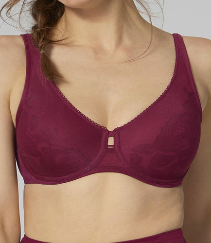Triumph wild rose sensation - triumph,
