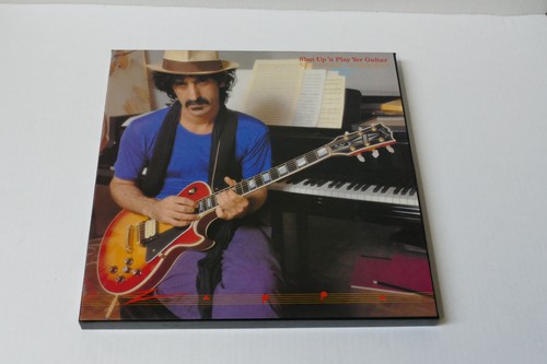 Frank zappa shut n play - frank, 'n