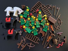 Lego ®️ 🌲🪵🦉 Robin