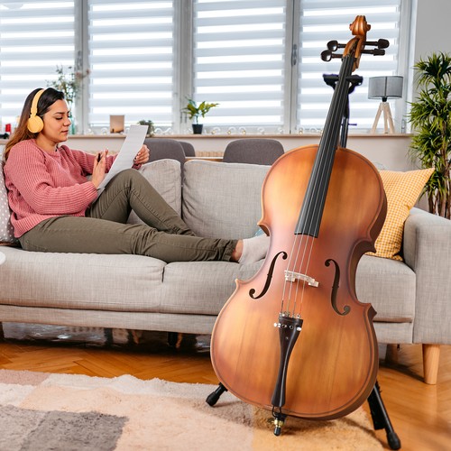 Cello set violoncello - cello,