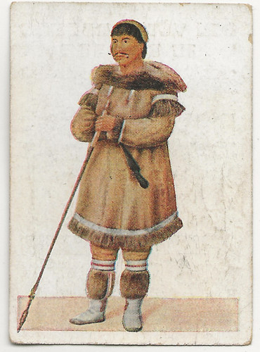 953 sammelbild malemiut - 25/953,