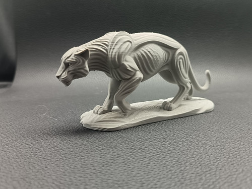 Majestätischer panther - majestätischer,