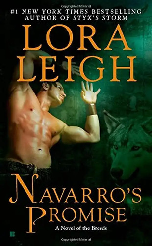 Navarro promise - navarro's,
