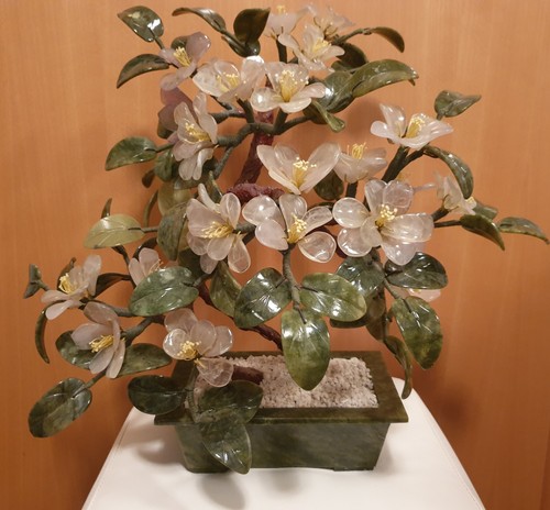 Vintage jadebaum bonsai - jadebaum,