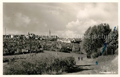 Falkenstein vogtland panorama - falkenstein,