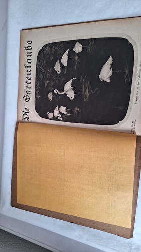 Alte zeitschrift gartenlaube - zeitschrift,