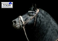 Trense Victoria BRO Diadem