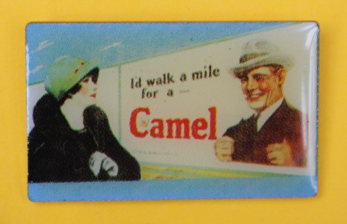 Pin camel plakat - pin,
