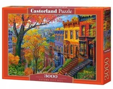 Puzzle 3000 Teile  Autumn City