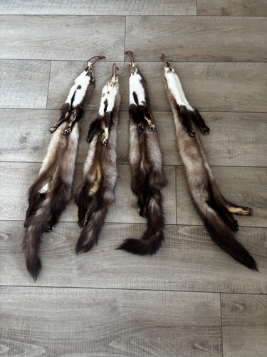 Marderfell steinmarder - 4x,