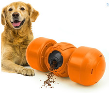 Dog activity Belohnung Snack