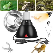 Reptile Dome Terrarium