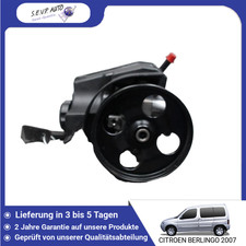 🇩🇪 SERVOLENKUNGSPUMPE